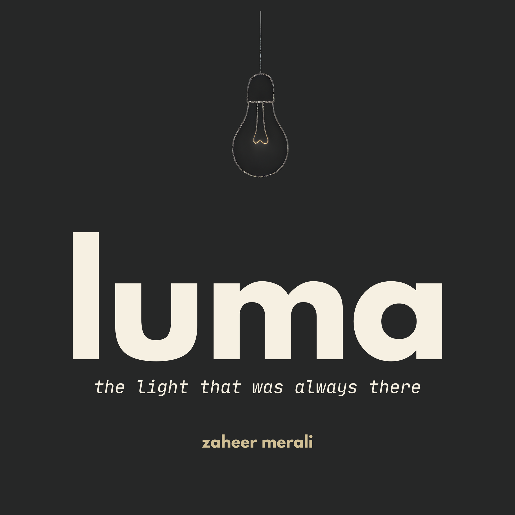 Book cover of 'luma' by Zaheer Merali with a light bulb icon on a black background.